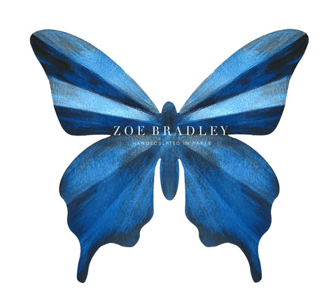 Hand Painted butterfly print designed by Zoe Bradley