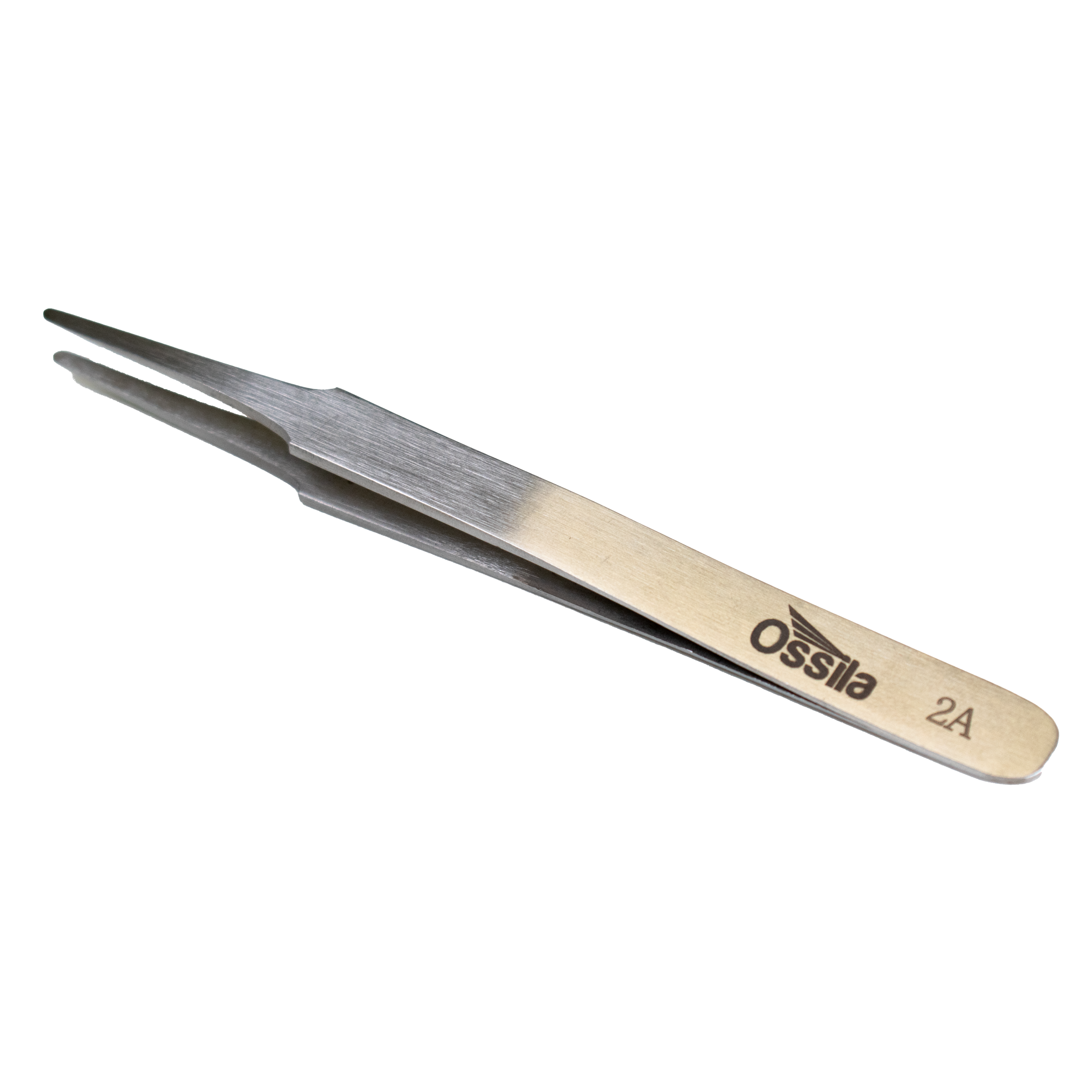 Fisherbrand™ General Purpose Tweezers, 13cm Long