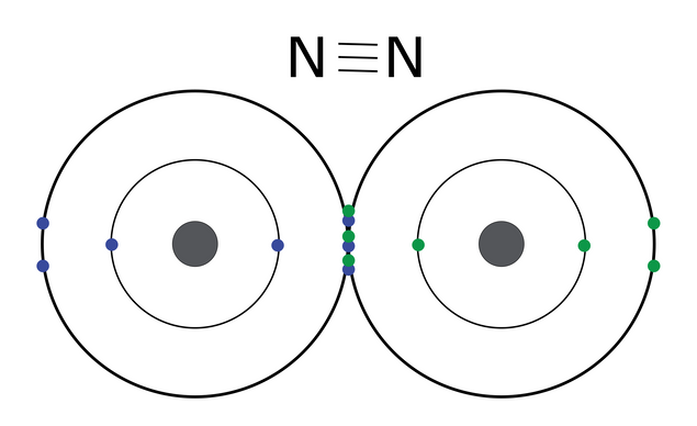 N2 molecule shares 6 electrons to make a full outer orbital