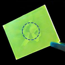 Thin film warping caused by spin coater vacuum