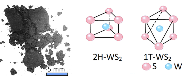 tungsten disulfide powder structure