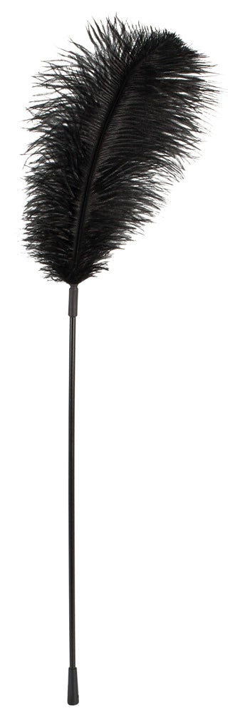 in Black günstig Kaufen-Black feather Bad Kitty. Black feather Bad Kitty <![CDATA[For tickling tenderness!. Big black feather on a long plastic wand (length 38 cm). Size feather: approx. 27 x 13 cm.. Feather, wand: polyvinyl chloride. Contains non-textile parts of animal origin.