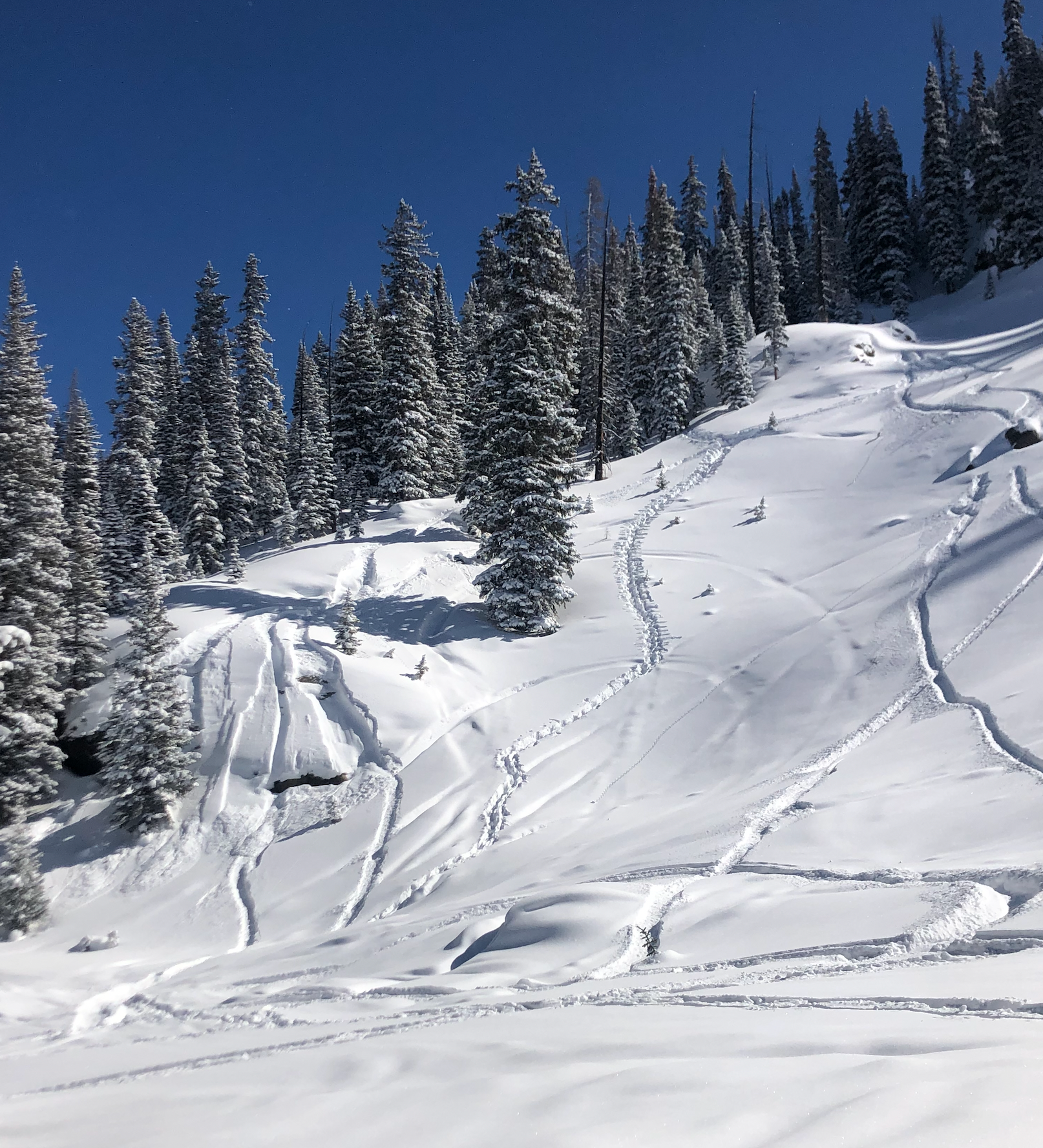 Colorado backcountry