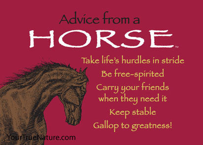 Advice from a Horse Jumbo Magnet – Your True Nature Inc