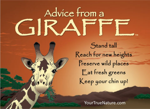 Advice from a Giraffe Jumbo Magnet – Your True Nature Inc