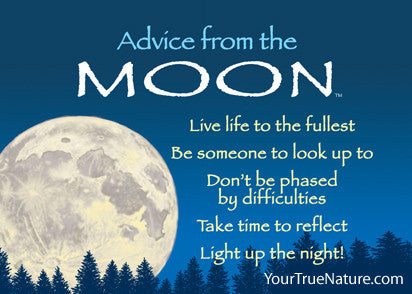 Advice from the Moon Jumbo Magnet – Your True Nature Inc