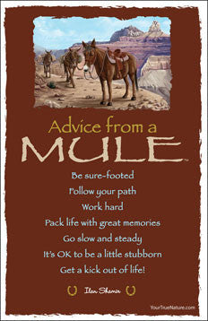 Advice from a Mule - Grand Canyon National Park 