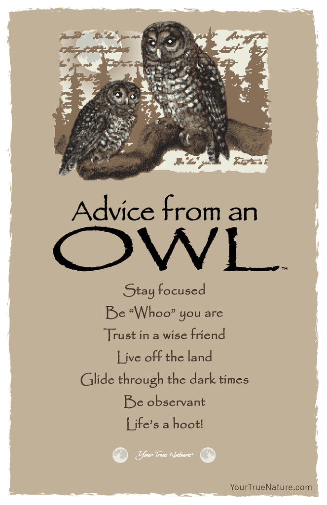 Advice from an Owl Frameable Art Postcard – Your True 