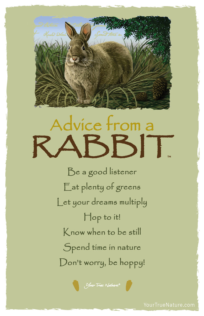 Advice from a Rabbit Frameable Art Postcard – Your True 