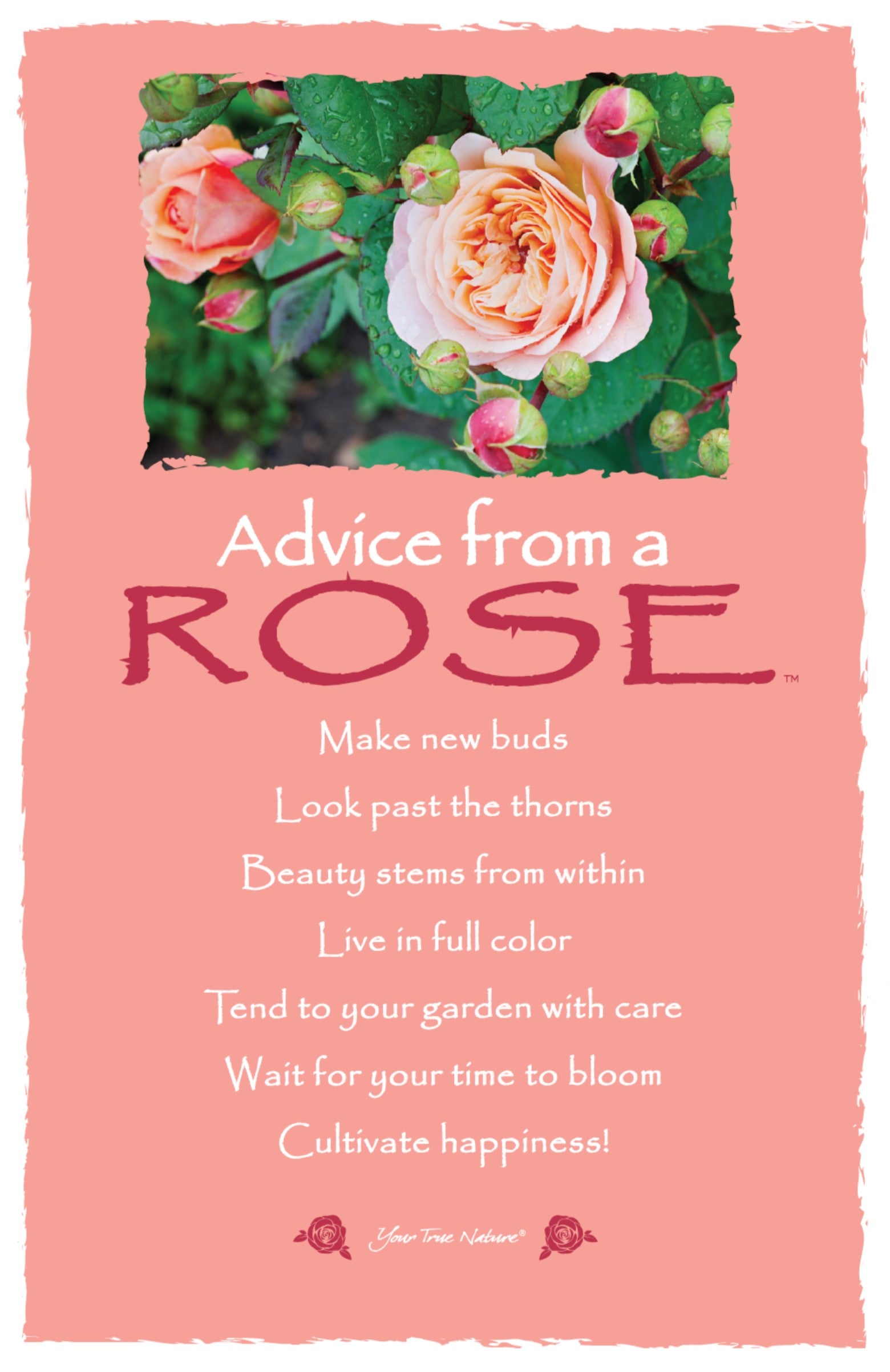 Advice From A Rose Frameable Art Card Your True Nature Inc