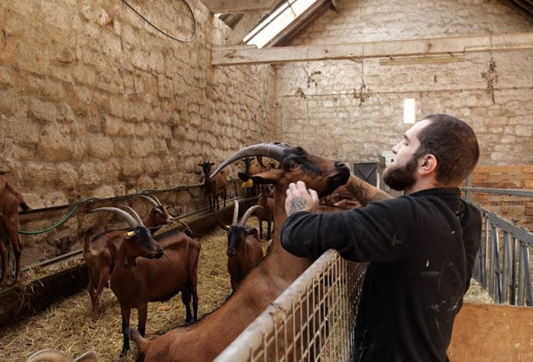 Ferme de Moyembrie