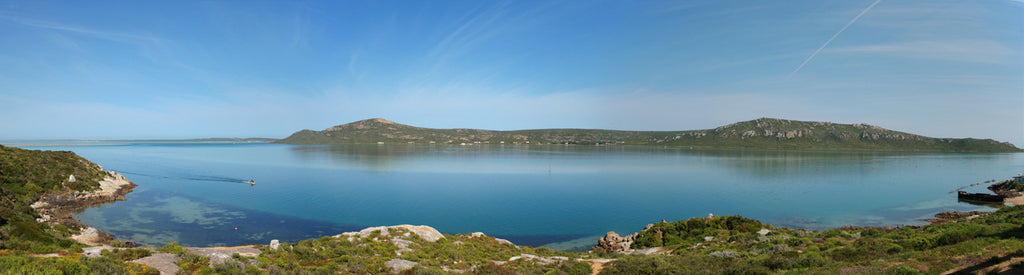 Where to Standup Paddle Board: Langebaan Lagoon, South Africa