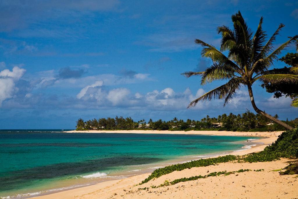 Where to Standup Paddle Board: Sunset Beach Oahu