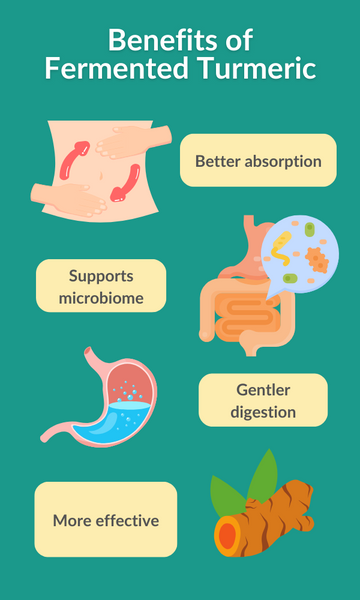 Benefits of fermented turmeric: better absorption, supports microbiome, gentler digestion, more effective