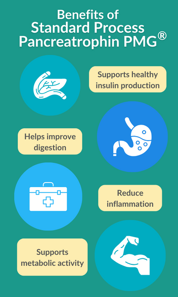 Image with caption: "Benefits of Standard Process Pancreatrophin PMG Supports healthy insulin production, helps improve digestion, reduce inflammation, supports metabolic activity)