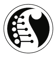 Serracini Guitars Logo