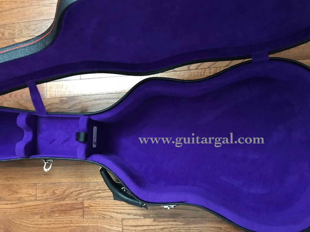 harptone guitar case