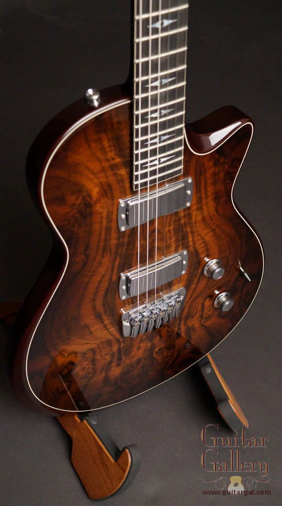 Taylor Custom Electric Guitar – Guitar 