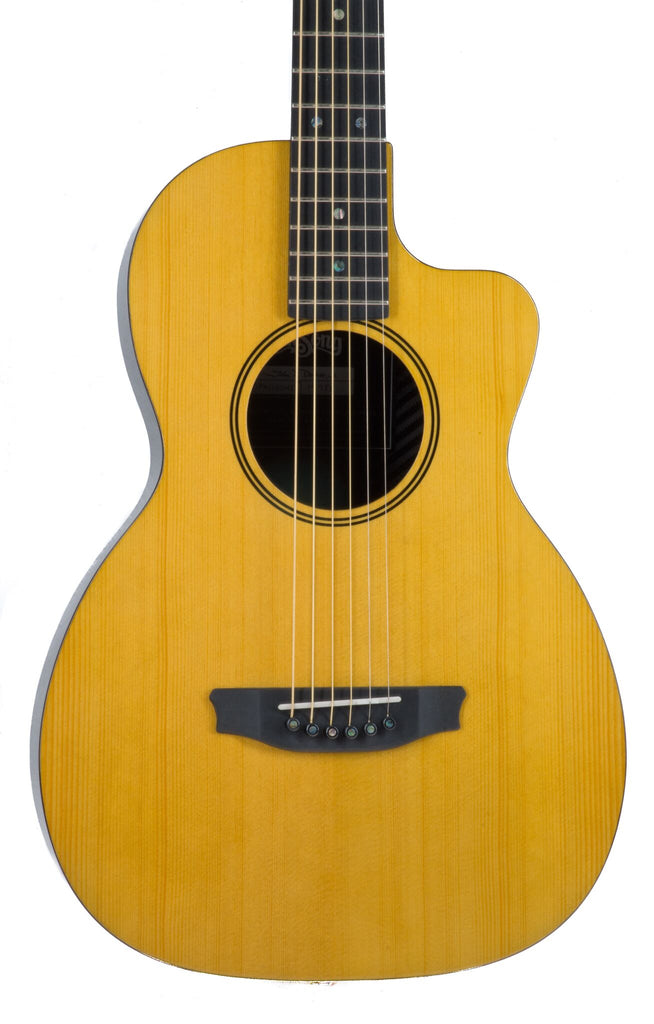 rainsong parlor guitar for sale