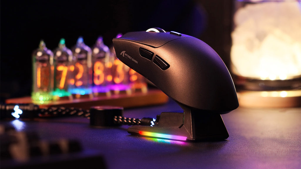 mouse