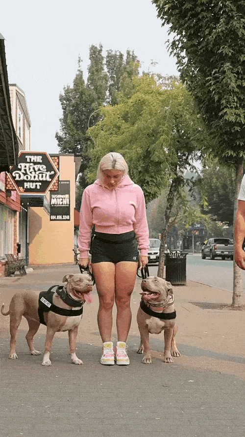 2_1_1-ezgif.com-optimize (1).gif__PID:eeebb030-b44d-43f5-9457-8ed8f2827fbf