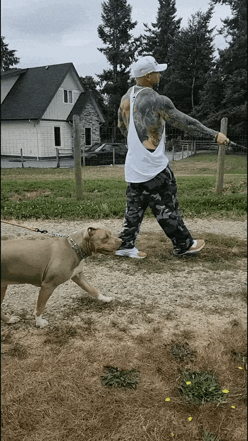 5_1_1-ezgif.com-optimize.gif__PID:c7f2eeeb-b030-444d-93f5-d4578ed8f282