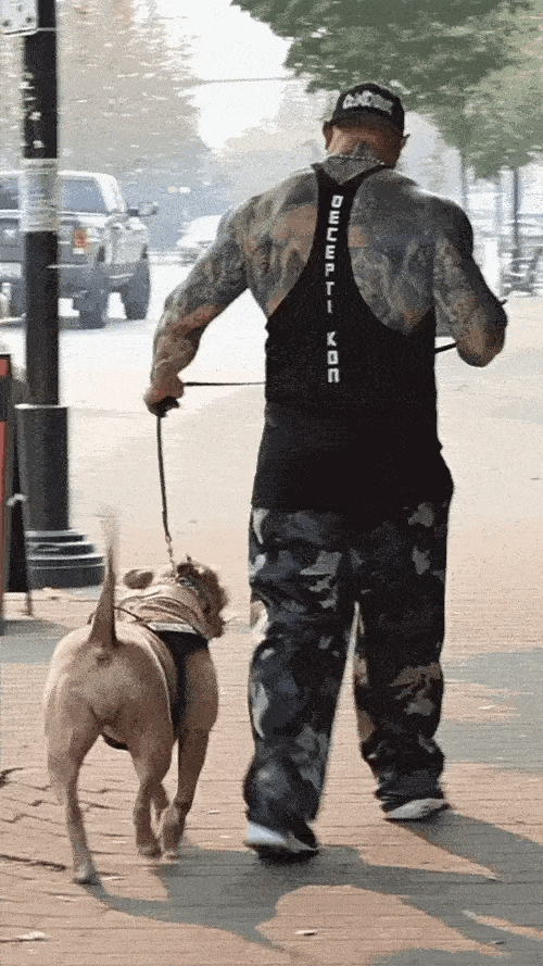 6_1_1_1-ezgif.com-optimize.gif__PID:4d86c7f2-eeeb-4030-b44d-d3f5d4578ed8