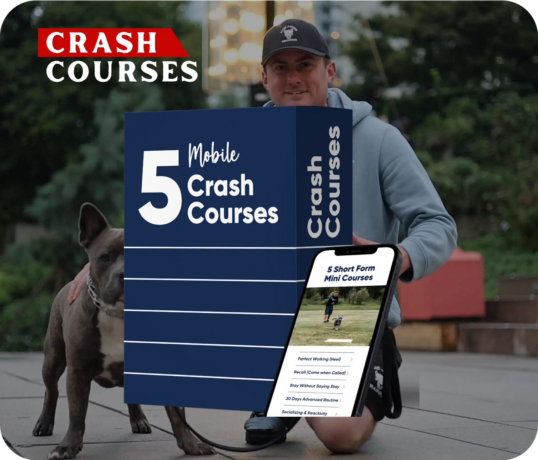 crash.webp__PID:e7964cc2-a146-4d84-ad51-8fb0f94e38cc
