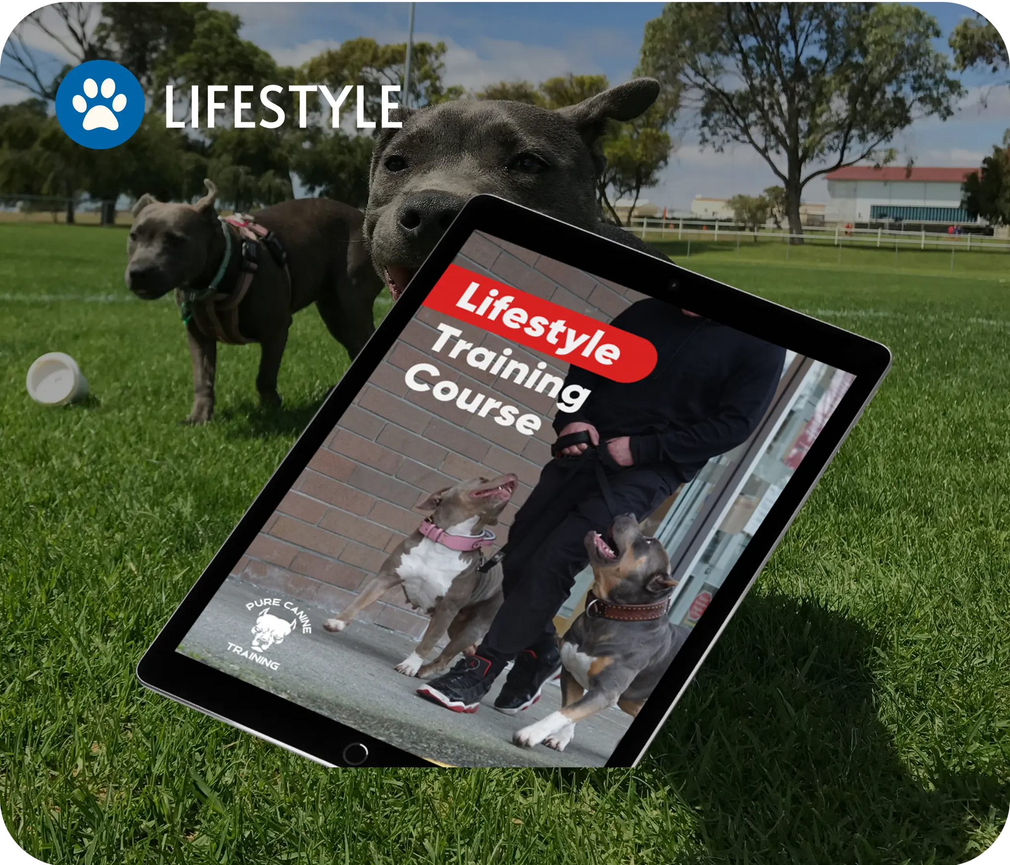 lifstyle.webp__PID:964cc2a1-46fd-446d-918f-b0f94e38ccbf