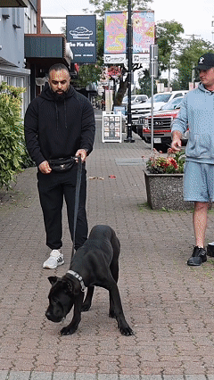 zues after.gif__PID:67308cbf-e03c-4db6-962c-142a868847bf