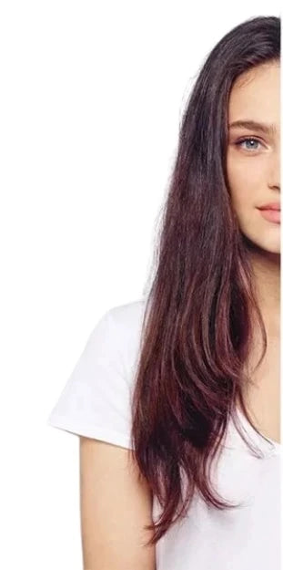 sx 1.webp__PID:7ed3b86c-16c4-49ad-9ec0-4de4cd2ca552