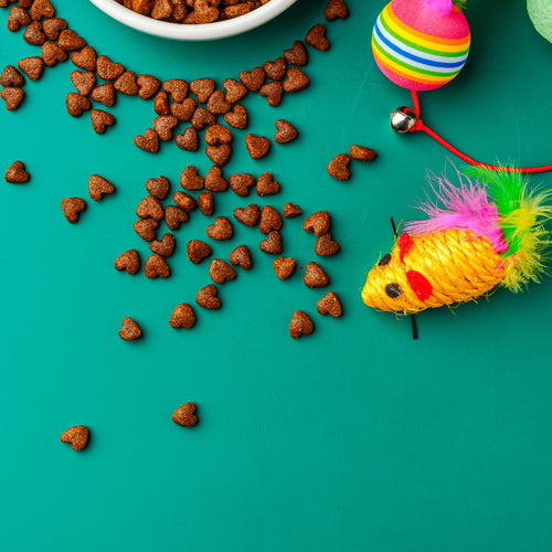 Placeholder image Green background with Pet food and Cat toys