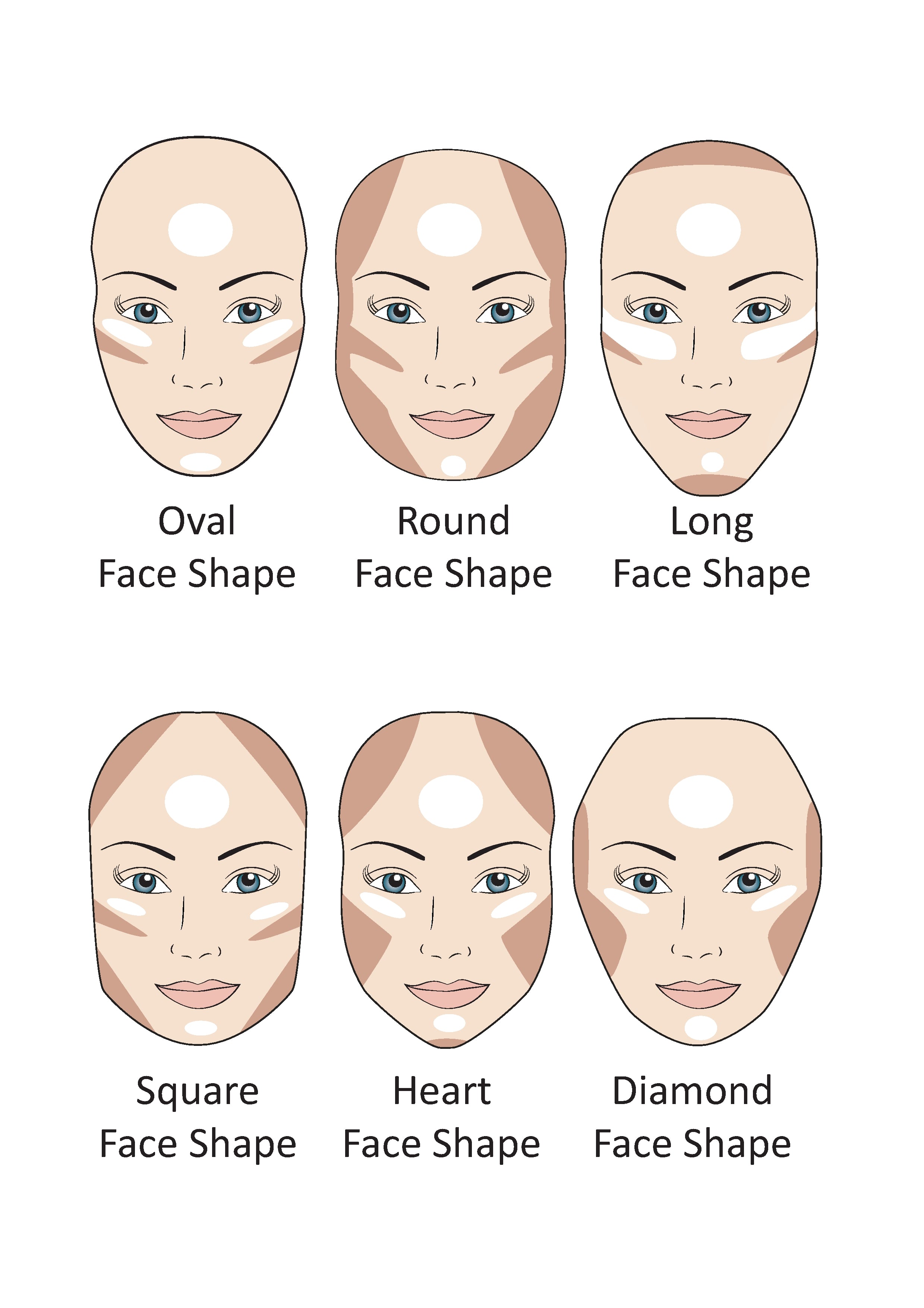 Oval Face Shape Diagram