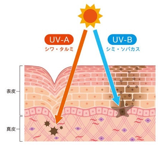 UVA wave/UVB wave explanation image