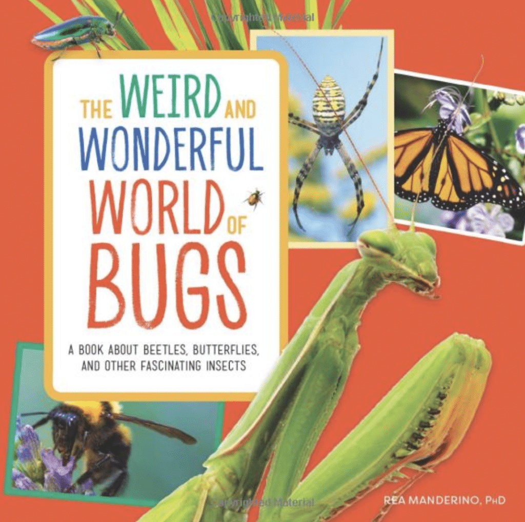 II. Importance of Insect-Themed Books and Documentaries