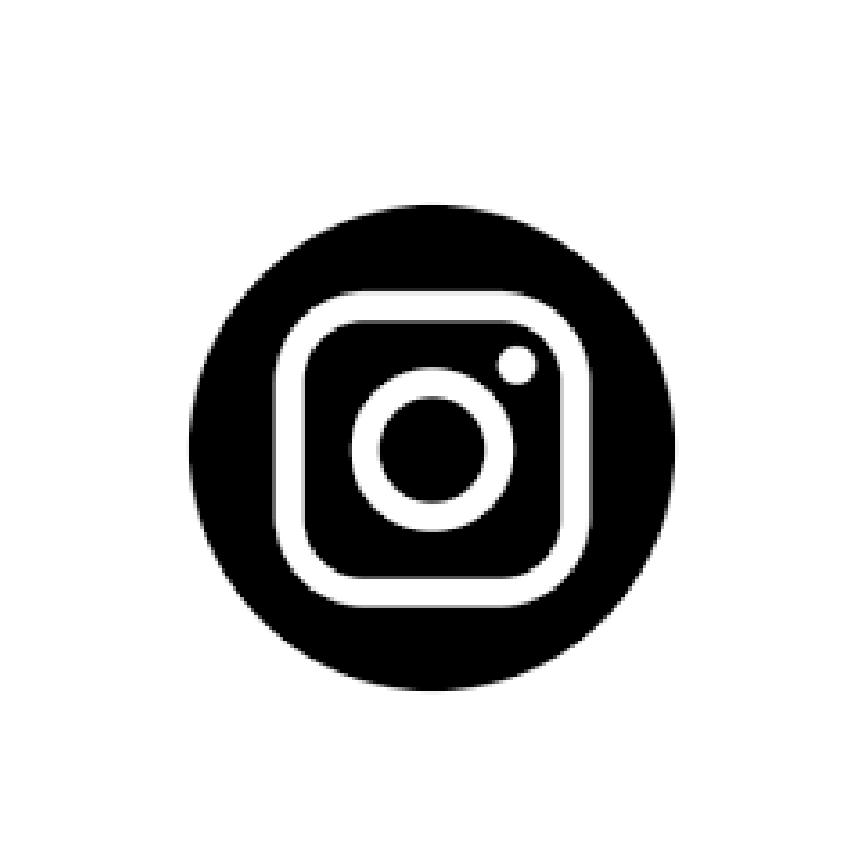 Instagram Social Media Icon