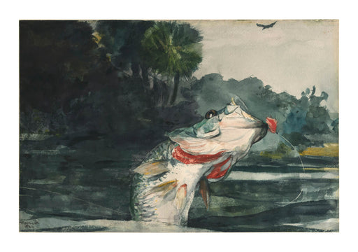 Fine Art Print Life-Size Black Bass (Vintage Fishing) - Winslow Homer