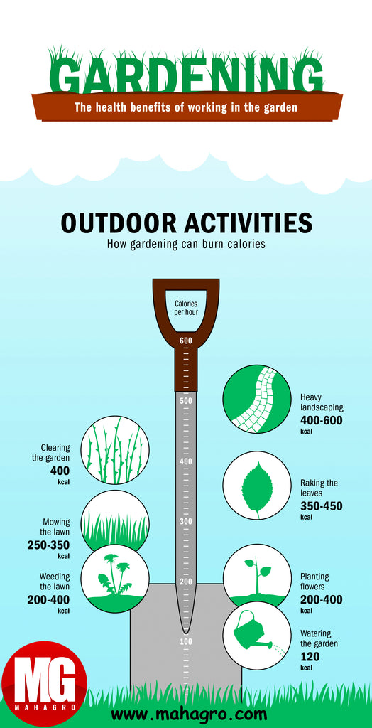 Ever wondered how many calories you burn gardening?