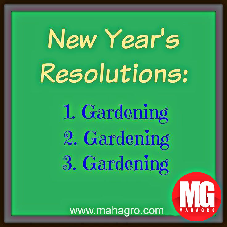 new year resolution for gardening 