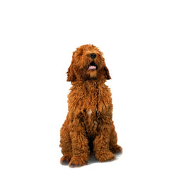 240924_TalentFactory_DSC0039700018.jpg__PID:66da5b8f-ccee-4b6e-8bdb-a7cc2d23011b