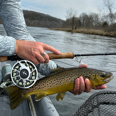 White River Brown Trout with El Jefe