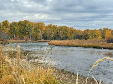 Upper Clark Fork, Montana