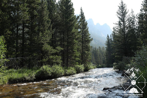 Rock Creek in The Beartooth Mountain Range