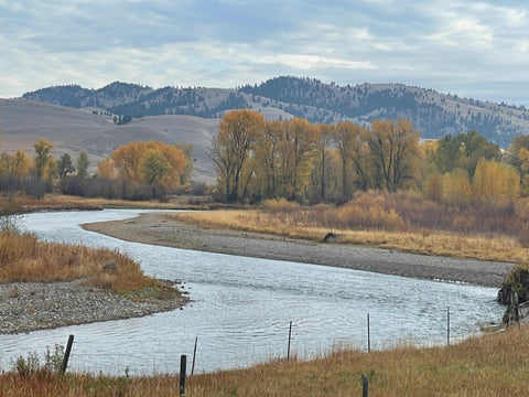 Beautiful Fall Day in Montana