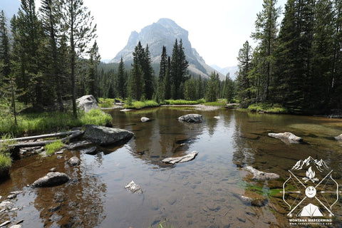 High Mountain Lake, Full of Brook Trout & Cutthroat Trout