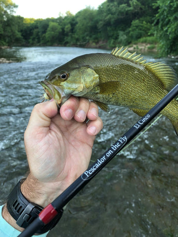 Central Iowa Smallmouth Bass on the Fly