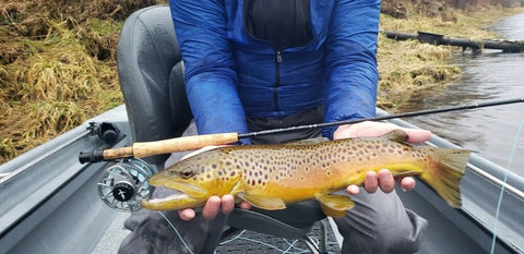 22 Inch Brown on The White River, Arkansas