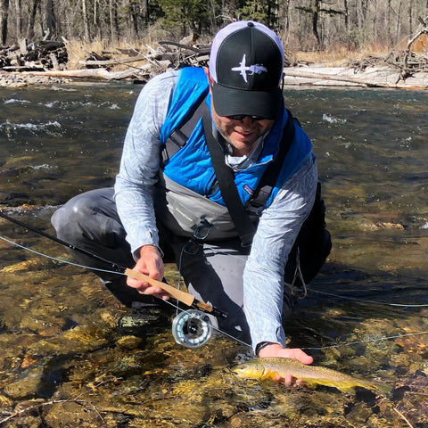 Great Brown Trout from Rock Creek