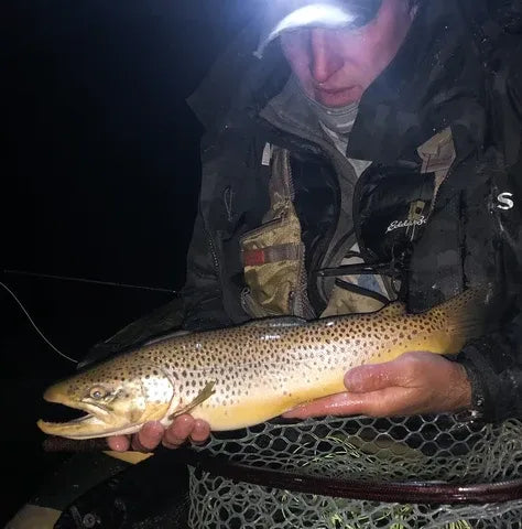 Big Brown Trout on the Fly at Night