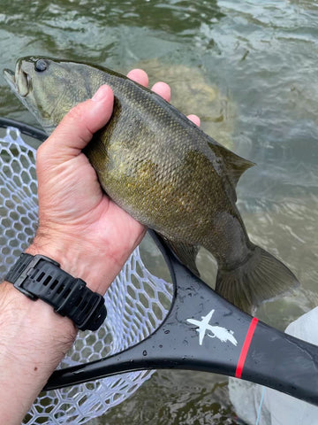 Iowa Smallmouth Bass on the Fly